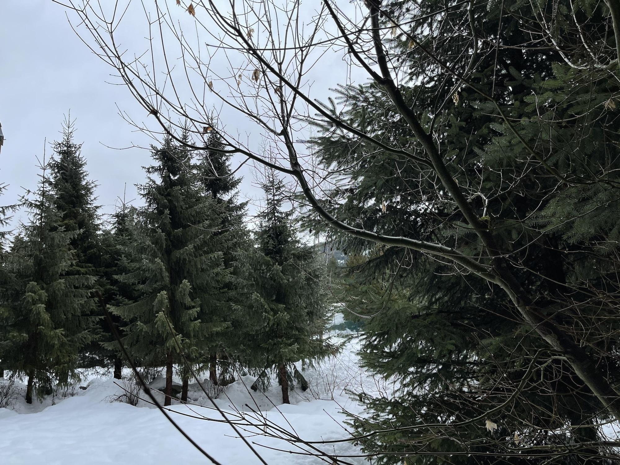 Four Seasons Resort Уислър Екстериор снимка